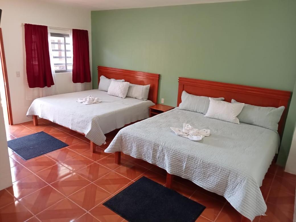 קומיטן דה דומינגז Hotel John & Rose חדר תמונה